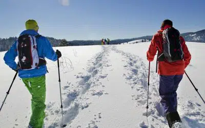 Tècnica d’iniciació amb raquetes de neu: ascens, progressió i descens