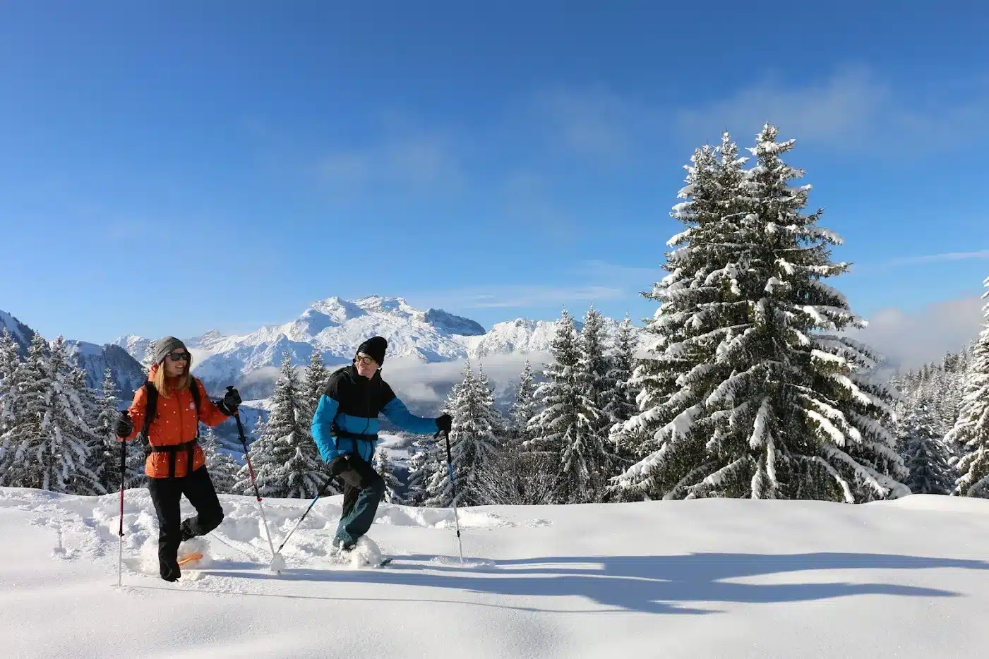 Raquetes de neu